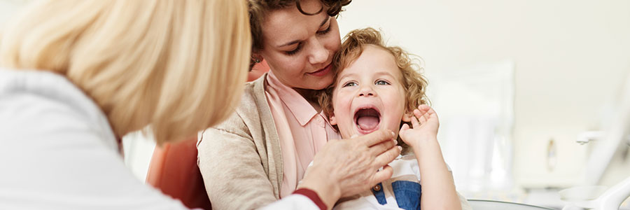 dentist examining teeth