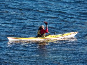sea kayaking